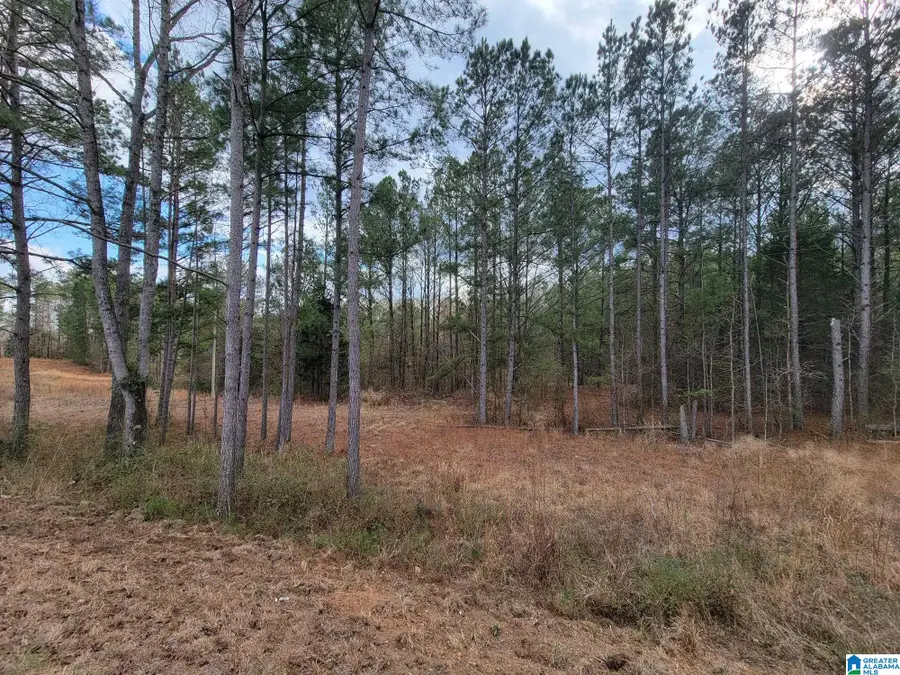 0 COUNTY ROAD 15, County, AL 36750 - #3