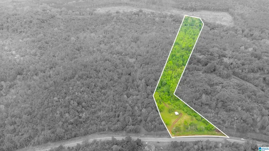 1432 MARDISVILLE ROAD, Talladega, AL 35160 - #2