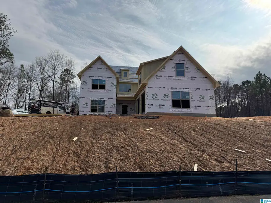 3269 RIVERBIRCH TRAIL, Chelsea, AL 35043 - #2