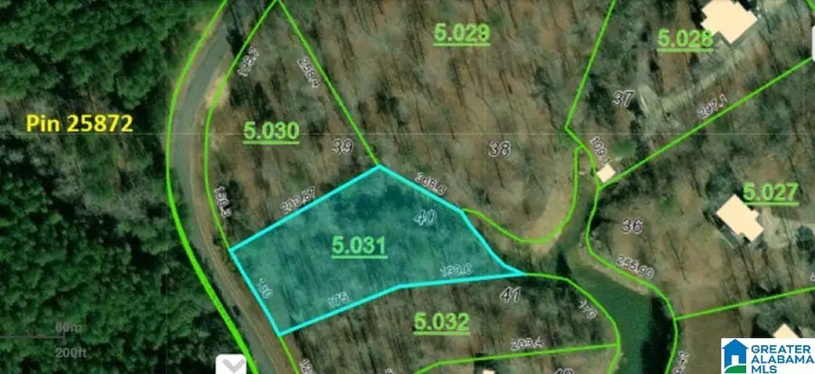 Lot 40 SIPSEY PINES ROAD, Arley, AL 35541 - #3