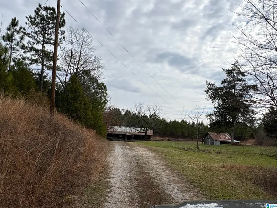 0 MIMS FERRY ROAD, Clanton, AL 35046 - #3