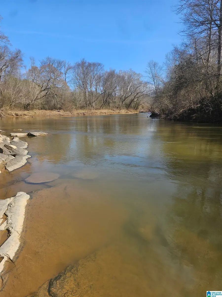 1150 RIVER ROAD, Heflin, AL 36264 - #3