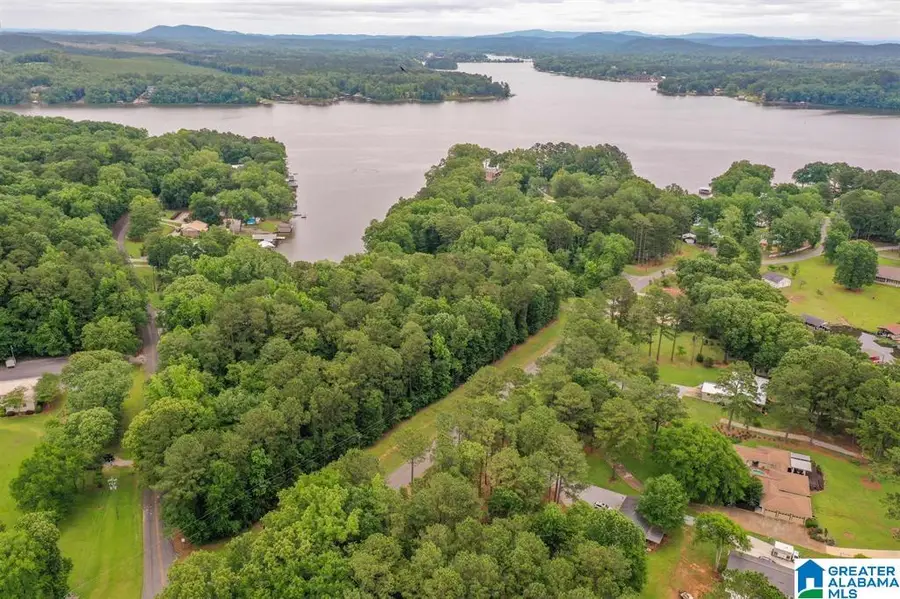 Lot 1 MARINA ROAD, Shelby, AL 35143 - #3
