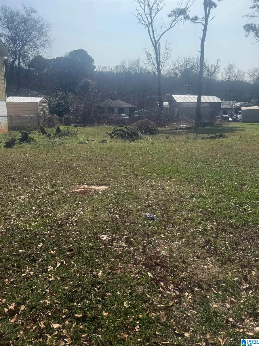 3717 GRASSELLI AVENUE SW, Birmingham, AL 35221 - #2