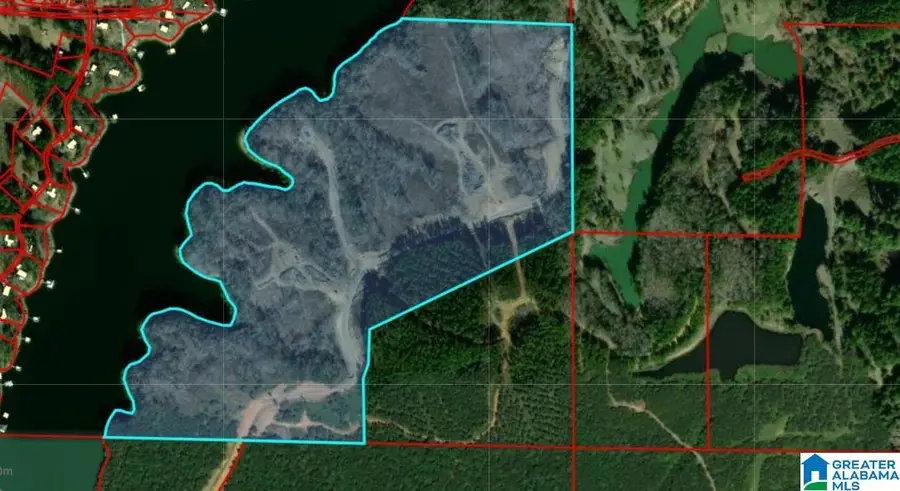 0 COUNTY ROAD 102, Bremen, AL 35033 - #2