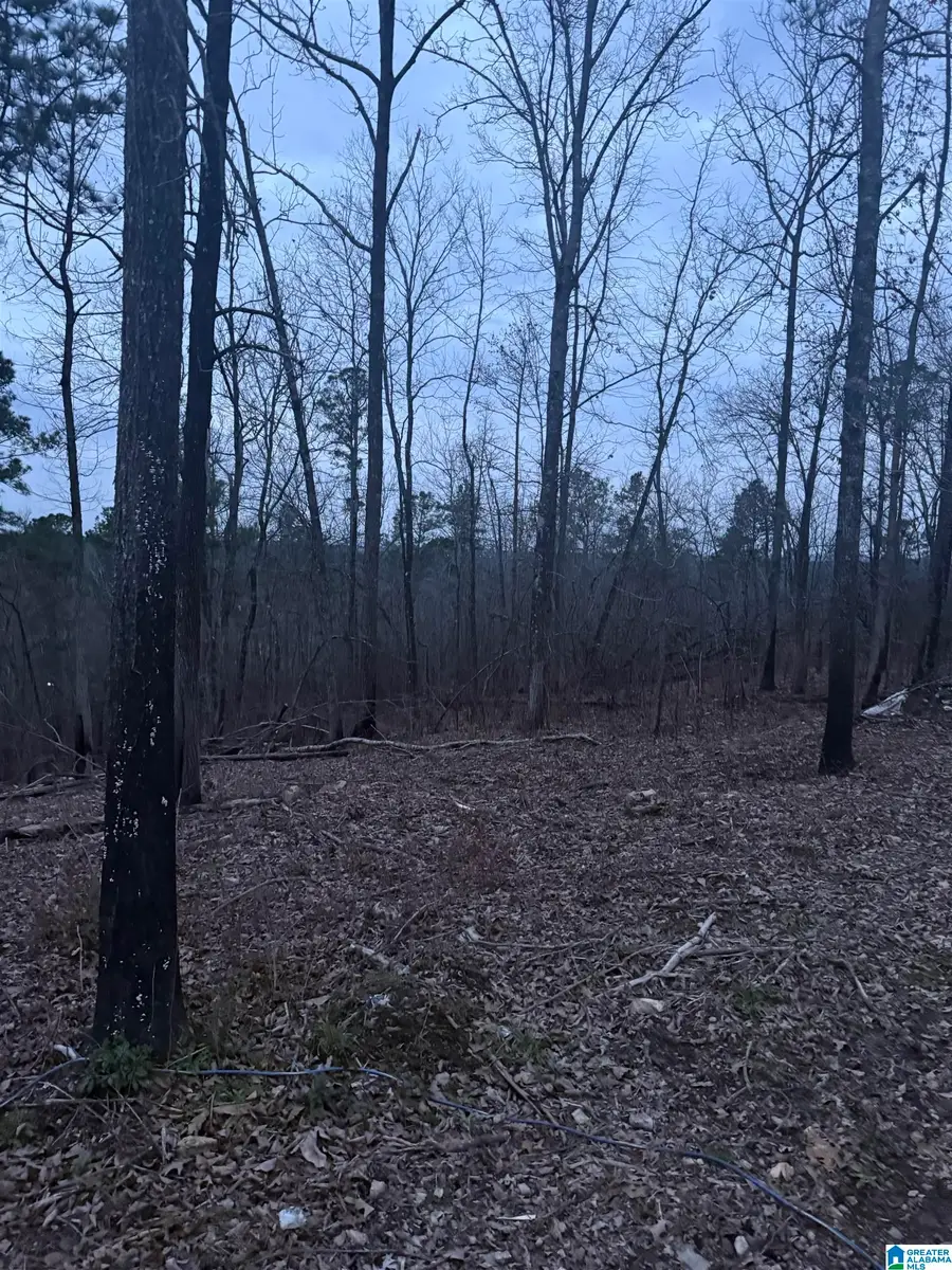 135 BIG CHIEF, Ohatchee, AL 36271 - #2