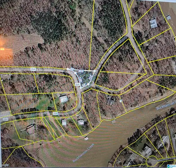 0 COUNTY ROAD 264, Wedowee, AL 36278