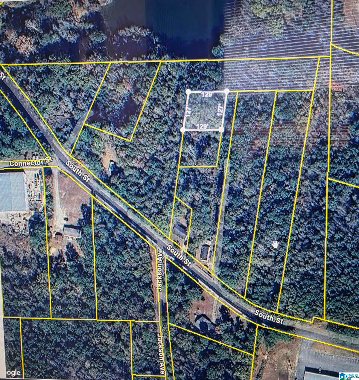 0 SOUTH STREET, Roanoke, AL 36274 - #1