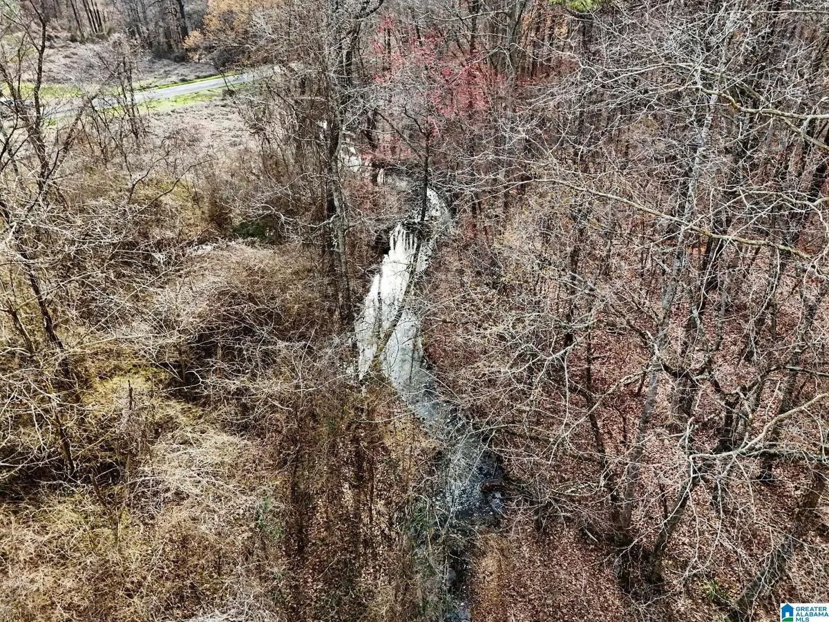 7296 GOODNER MOUNTAIN ROAD, Pinson, AL 35126 - #1