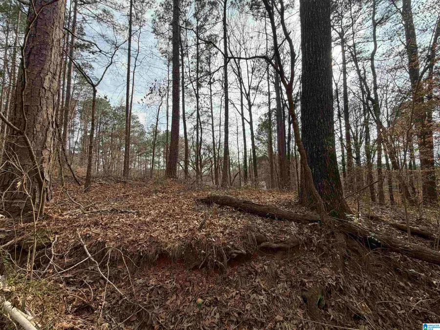 1069 MIDWAY ROAD, Jacksons Gap, AL 36861 - #2