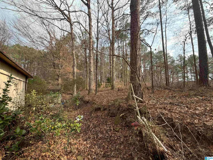 1069 MIDWAY ROAD, Jacksons Gap, AL 36861 - #3