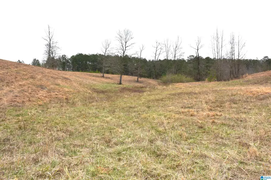 0 GRIST MILL ROAD, Childersburg, AL 35044 - #2