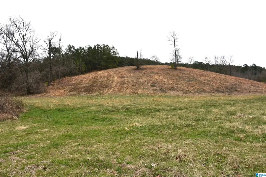0 GRIST MILL ROAD, Childersburg, AL 35044 - #3
