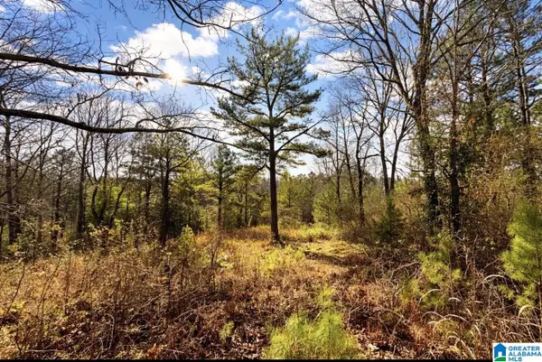 1344 DENAS COVE ROAD, Ragland, AL 35131