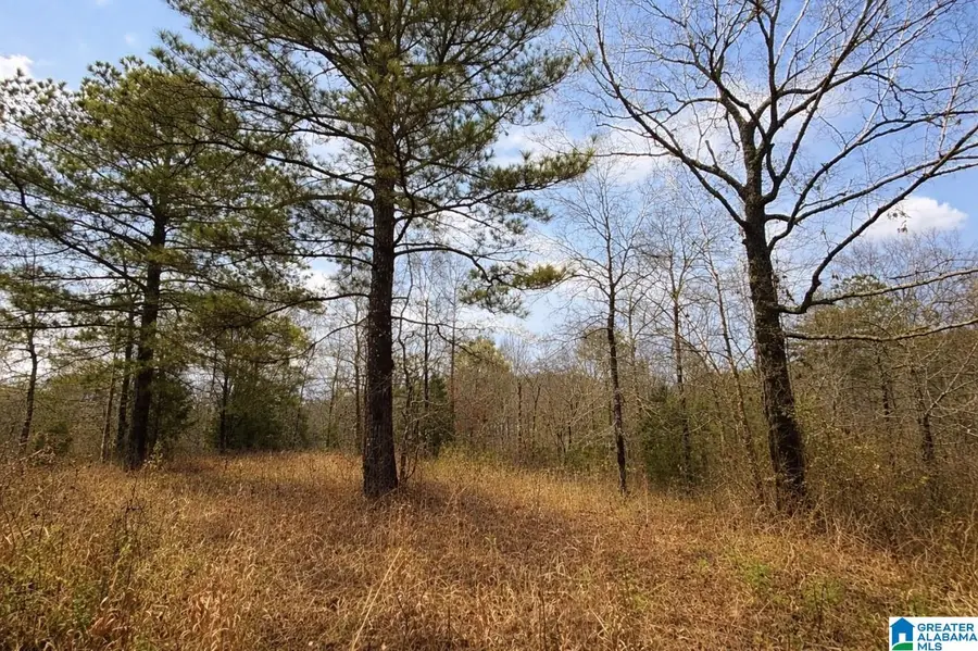 1344 DENAS COVE ROAD, Ragland, AL 35131 - #2