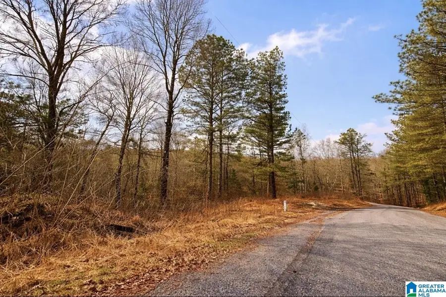 1344 DENAS COVE ROAD, Ragland, AL 35131 - #3