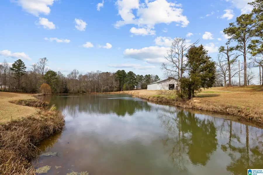 37 COUNTY ROAD 825, Clanton, AL 35045 - #3