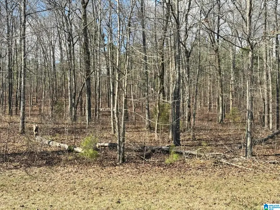 7533 COLONIAL TRACE CIRCLE, Bessemer, AL 35022 - #3