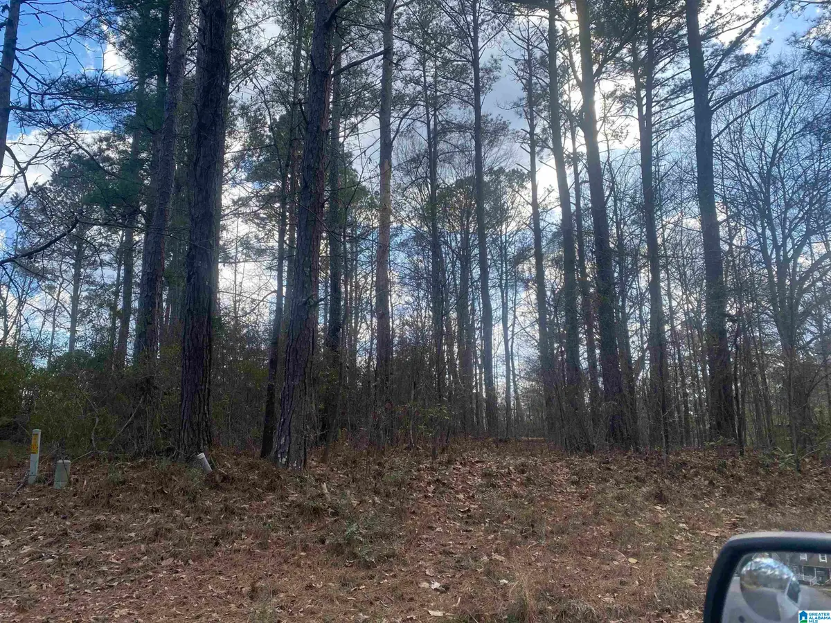 lot 18 DOGWOOD CIRCLE, Roanoke, AL 36274 - #1