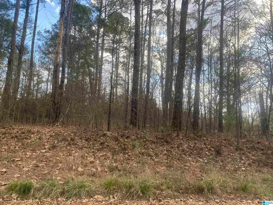 lot 18 DOGWOOD CIRCLE, Roanoke, AL 36274 - #2