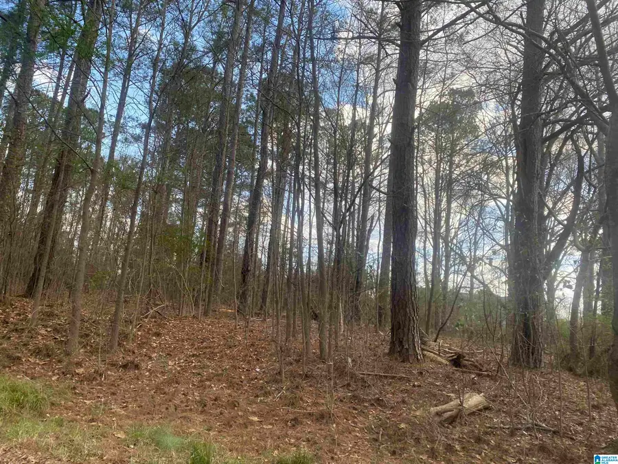 lot 18 DOGWOOD CIRCLE, Roanoke, AL 36274 - #3