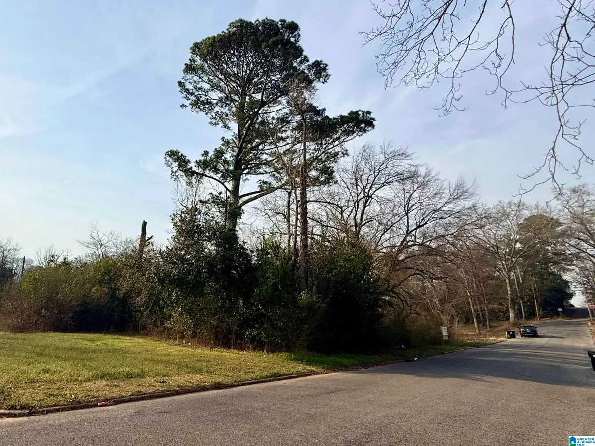 205 WESTERN AVENUE, Sylacauga, AL 35150 - #1