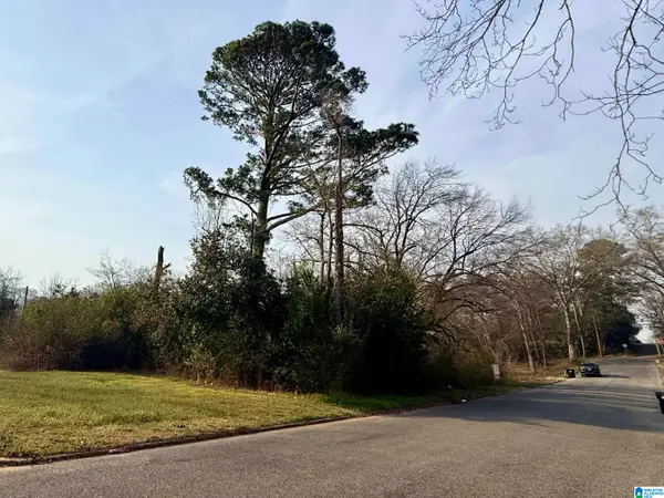 205 WESTERN AVENUE, Sylacauga, AL 35150