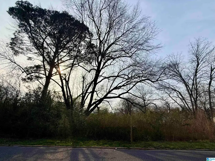 205 WESTERN AVENUE, Sylacauga, AL 35150 - #2