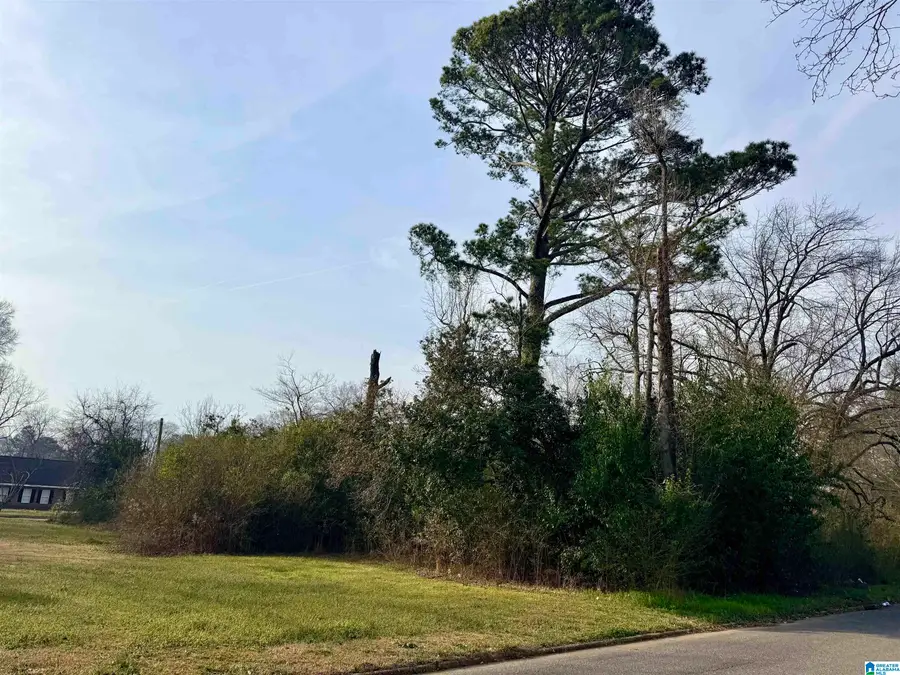 205 WESTERN AVENUE, Sylacauga, AL 35150 - #3