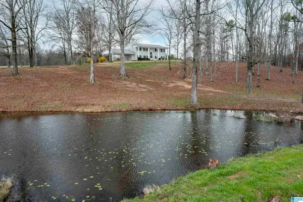 3060 HIGHWAY 47, Shelby, AL 35143