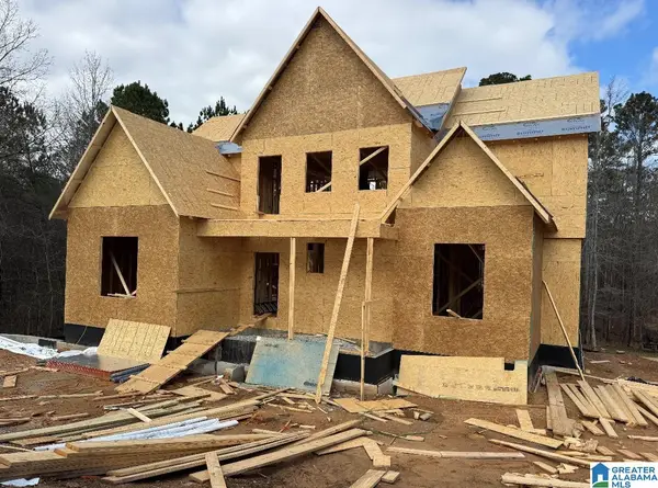 3282 RIVER BIRCH TRAIL, Chelsea, AL 35043