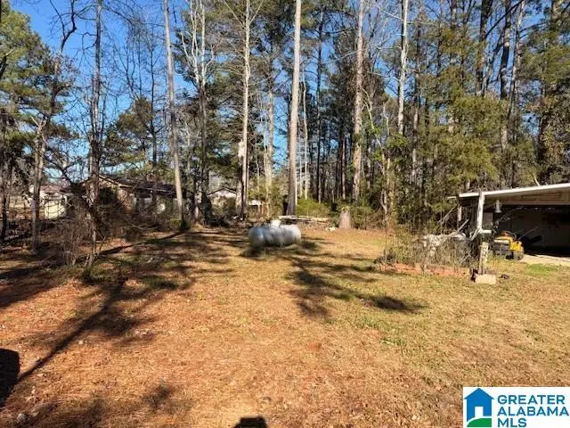 107 CYNTHIA CIRCLE, Roanoke, AL 36274 - #3