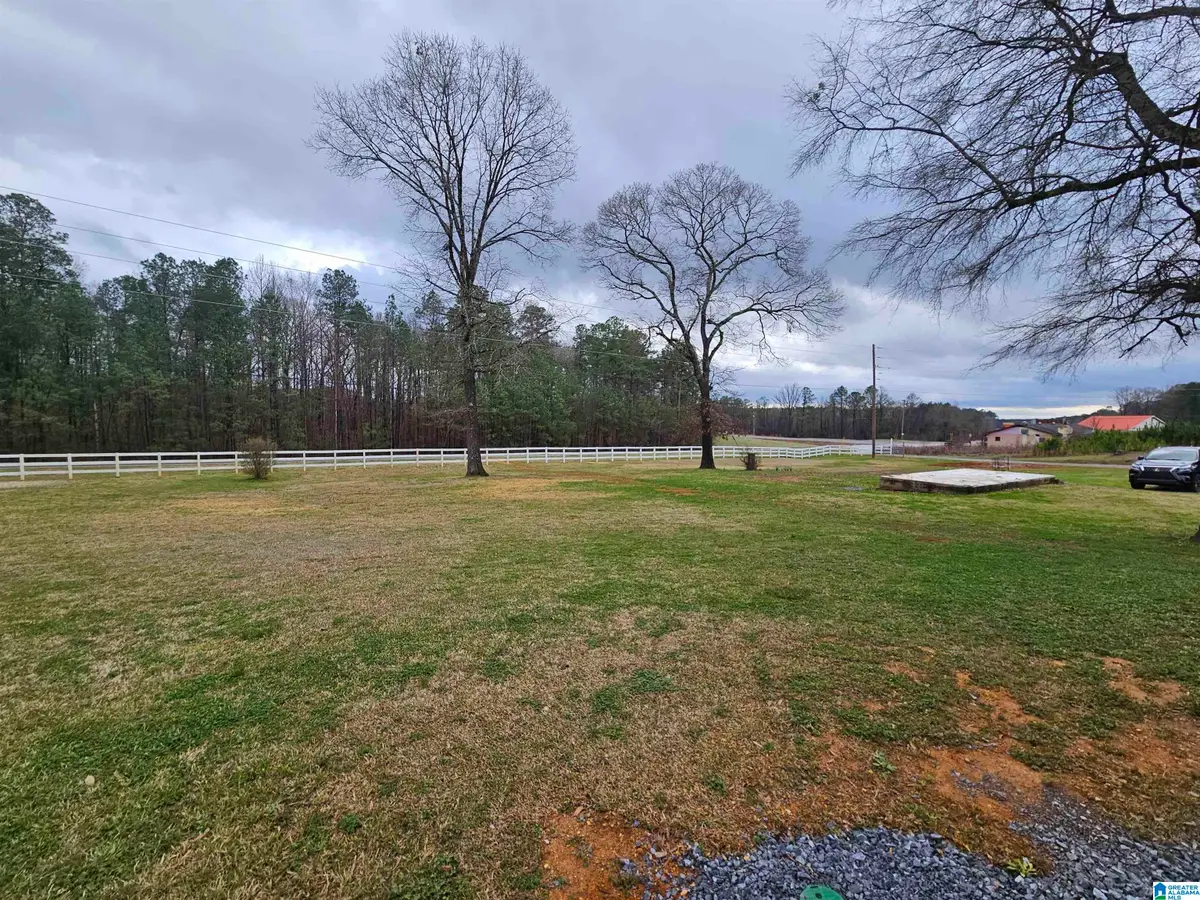 12880 PLANT ROAD, Alpine, AL 35044 - #1