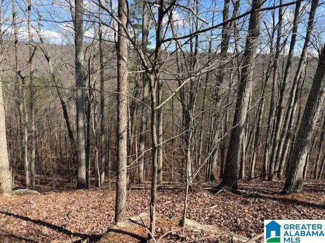 #80 SNOW DRIVE, Guntersville, AL 35976 - #1