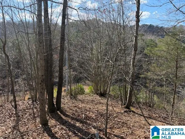 #80 SNOW DRIVE, Guntersville, AL 35976 - #3