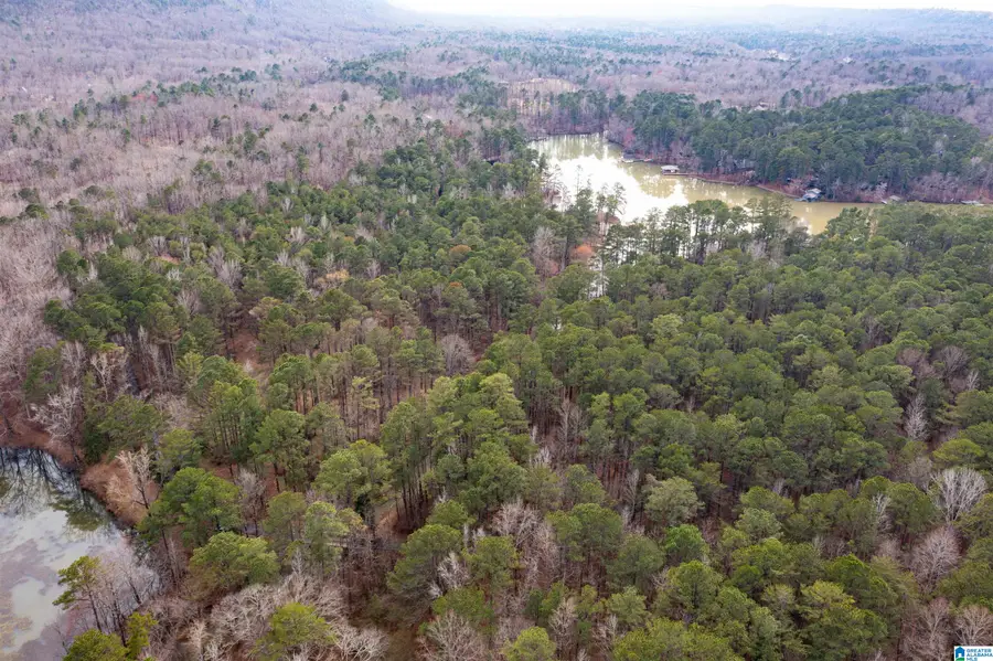 958 SMYER LAKE ROAD, Leeds, AL 35094 - #3