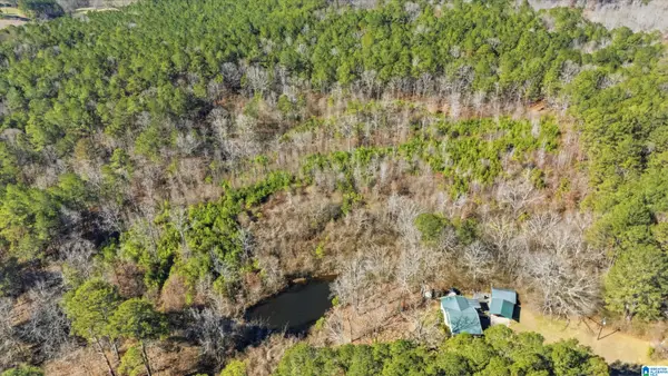 8160 ANDERSON DRIVE, Morris, AL 35116