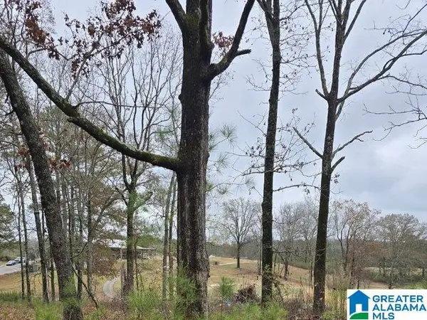 0 CAPRICORN DRIVE, Alpine, AL 35014