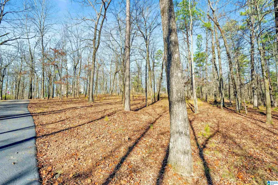 150 CHESTNUT DRIVE, Alabaster, AL 35007 - #3