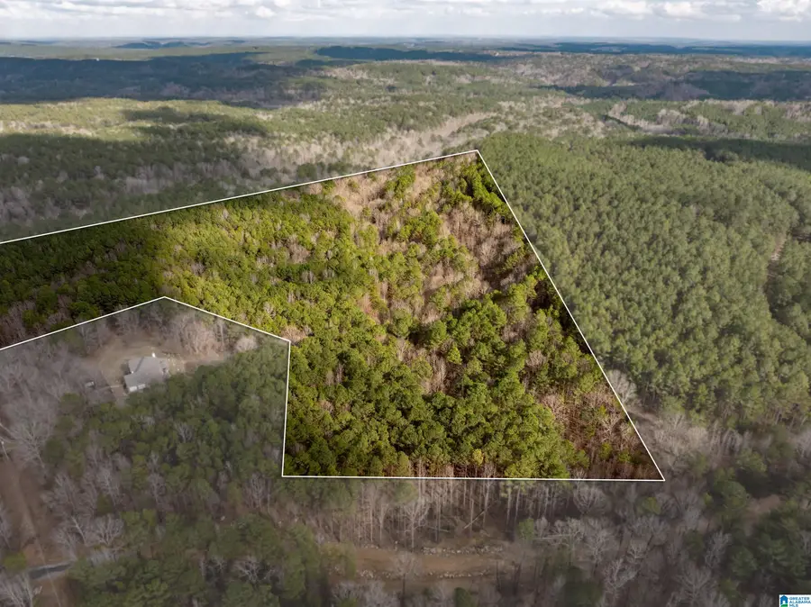 747 ALLIANCE ROAD, Bessemer, AL 35023 - #3