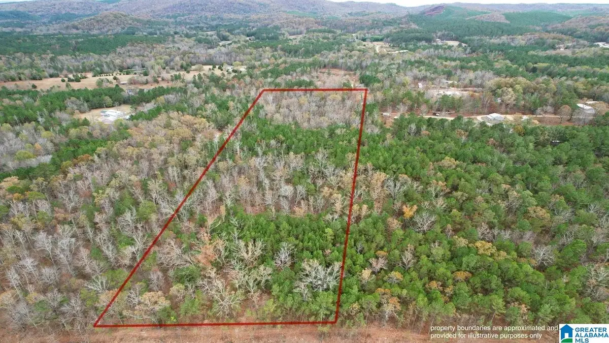 393 SILER ROAD, Piedmont, AL 36272 - #1