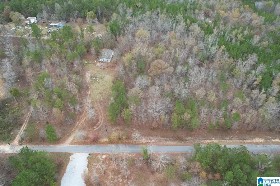 393 SILER ROAD, Piedmont, AL 36272 - #3