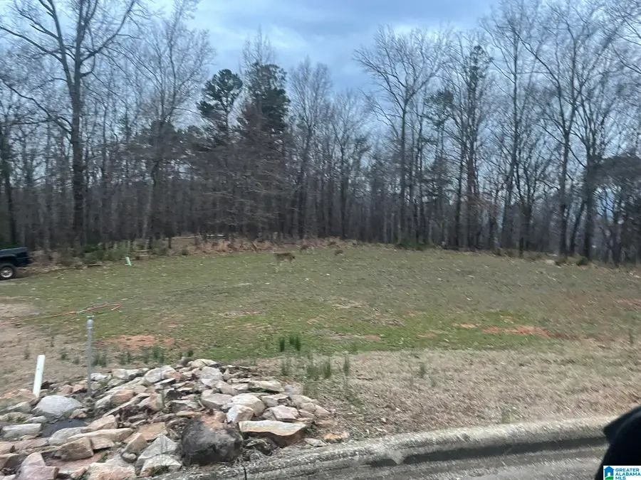 0 CHRISTINE AVENUE, Anniston, AL 36203 - #3