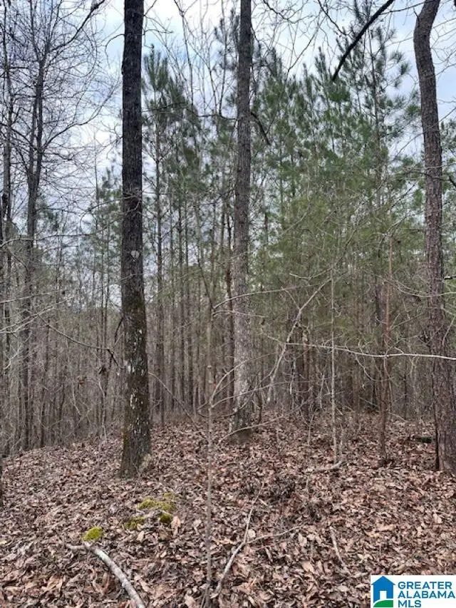 0 HIGHWAY 145, Clanton, AL 35046 - #1