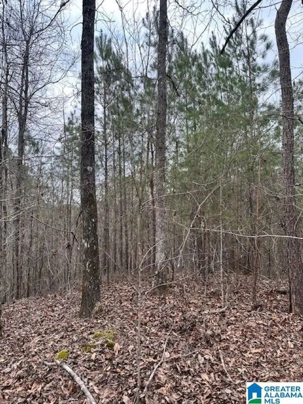 0 HIGHWAY 145, Clanton, AL 35046