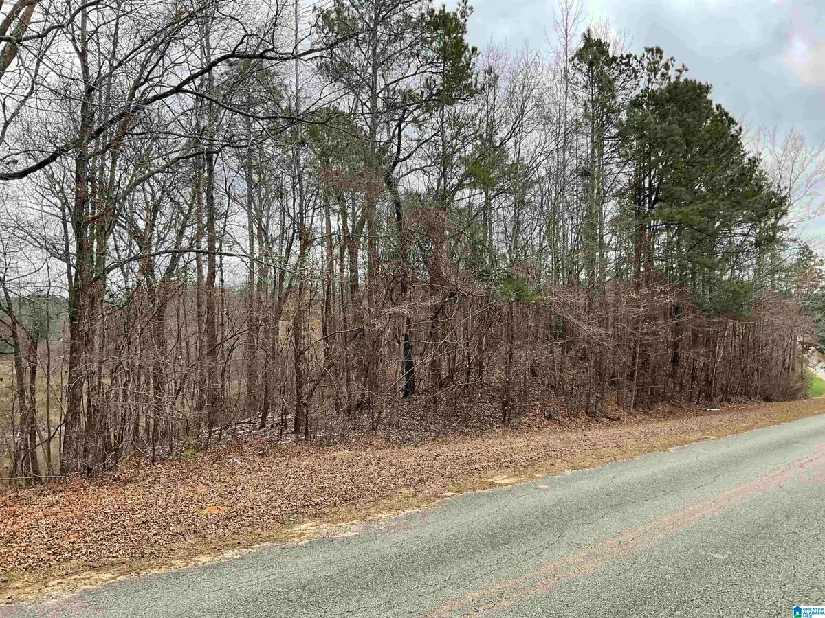 0 COUNTY ROAD 5, Thorsby, AL 35171 - #1