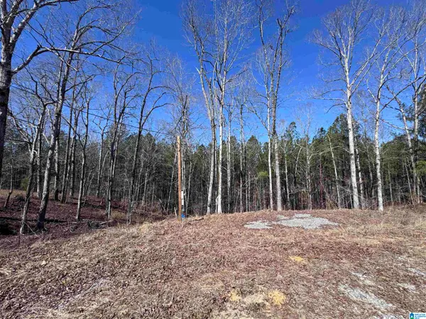 320 WILLOW LANE, Hayden, AL 35079