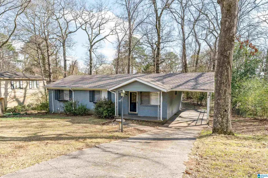 425 NW 14TH AVENUE, Center Point, AL 35215 - #2