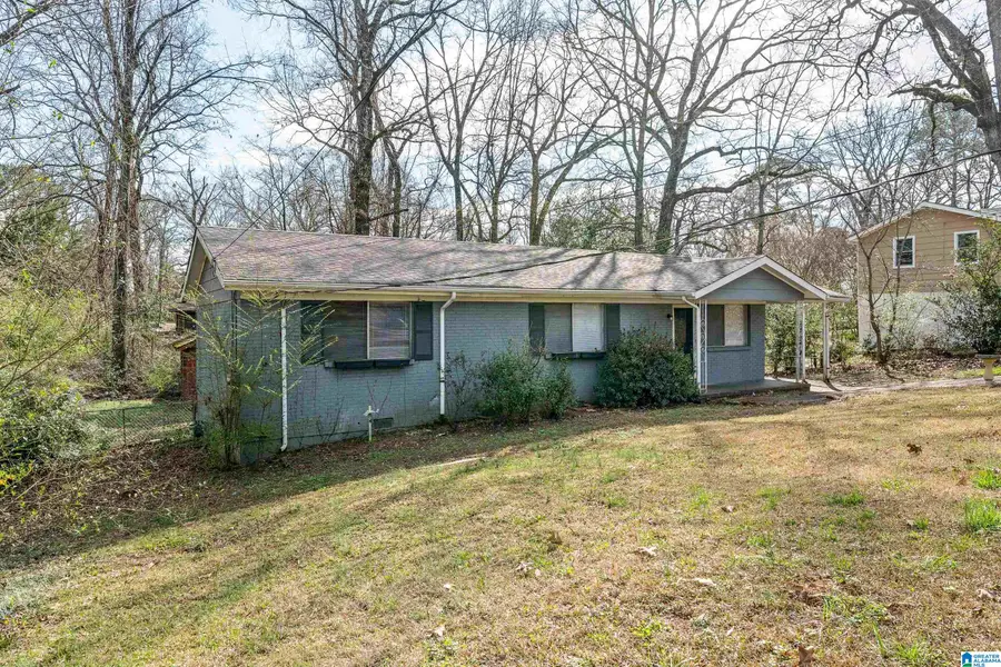 425 NW 14TH AVENUE, Center Point, AL 35215 - #3