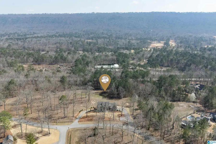 244 SOUTH OAK DRIVE, Birmingham, AL 35242 - #2